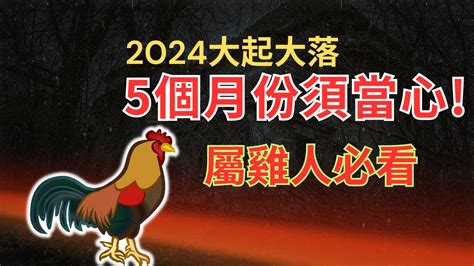 2024 雞運程|不同年份生肖雞運勢及運程2024